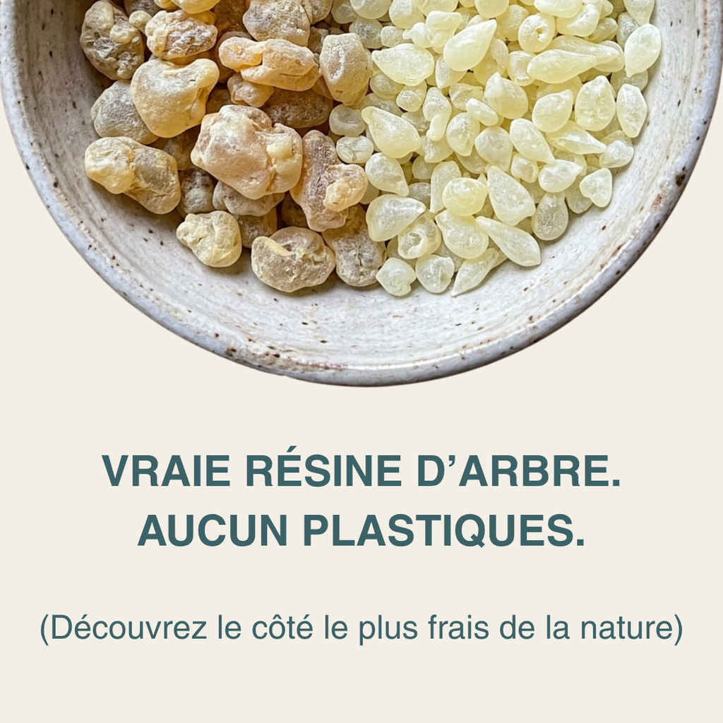 Sève - Chewing Gum Reminéralisant