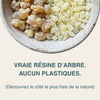 Sève - Chewing Gum Reminéralisant